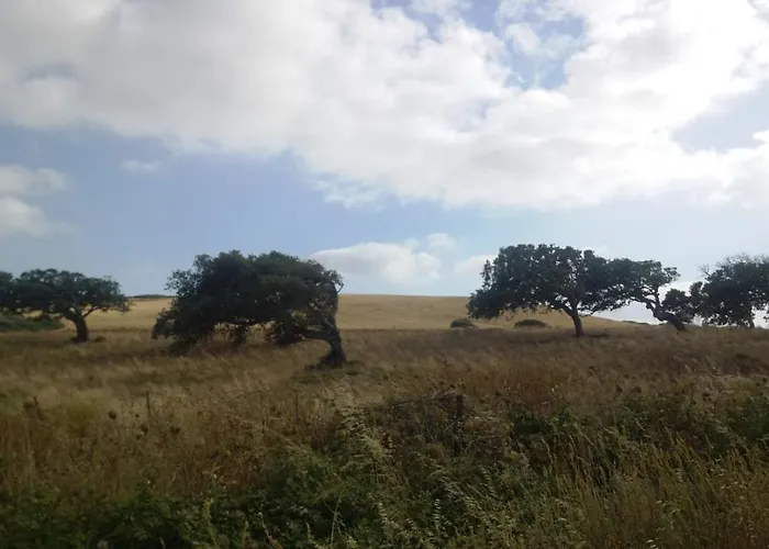 Didi House 公寓 斯库索港