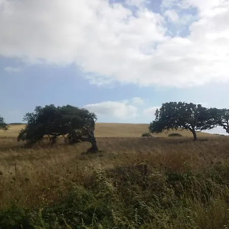 Didi House アパート ポルトスクーゾ